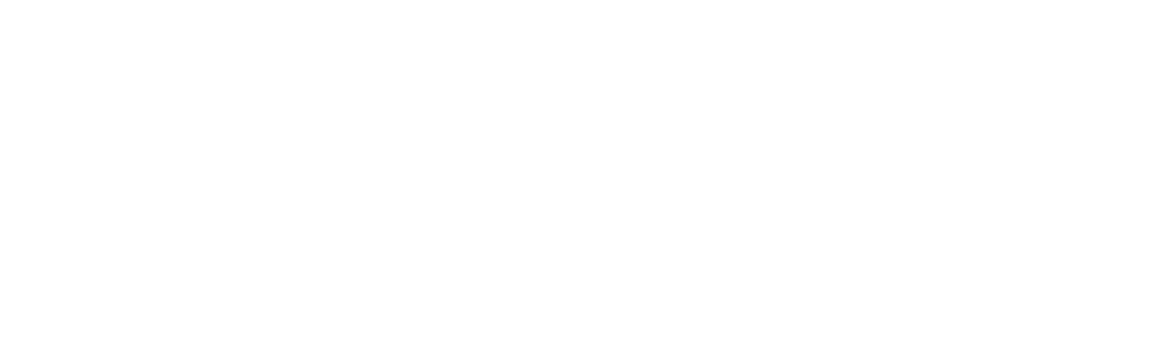 Logo: Brandenburger Freiheitspreis